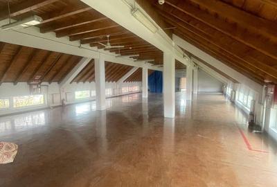 Inchiriez spatii comerciale si industriale in Dumbravita - 18