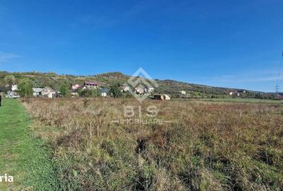 Spațiu comercial, în Unirea - 11