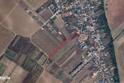 Teren de 3600 mp, în Cernica