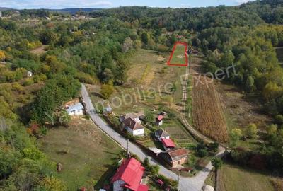 Teren de vanzare in comuna Poienarii de Arge?, sat Ioanice?ti, jude? Arge?. - 2