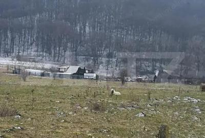 Teren de 5200 mp, în Central