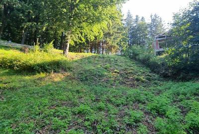 Teren cu Autorizatie de constructie/ Pensiune de lux ... Teren cu Autorizatie de constructie/ Pensiune de lux ... - 3