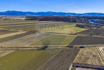 Teren agricol extravilan de 3700 mp, în Lunca Calnicului - 16
