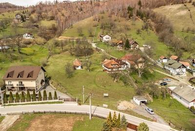 FILM! Pe 6.500mp teren + casa parinteasca, incantatoare pozitionare, acces facil - 11