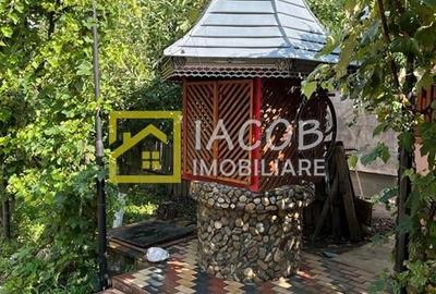 Vila P si 1E,  teren 1000 mp, loc. Dumbrava, jud Bacau - 14