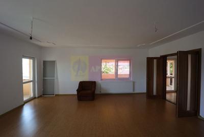 Vila Clinceni - Ciorogirlei. - 5