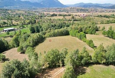 Teren de 10000 mp, în Sohodol