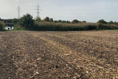 Teren Construcții extravilan de 7500 mp, în Afumați - 10