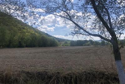 Casă cu 4 camere în Slava Rusă - 3