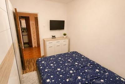 Apartament cu 3 camere decomandat, mobilat în Tineretului - 5