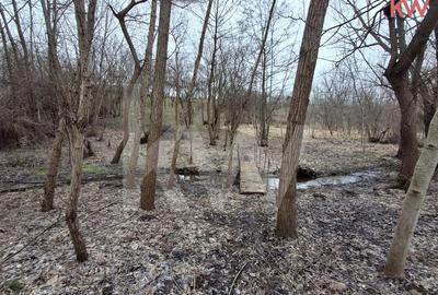 Duplex cu 7 camere cu Teren 2354 Mp în Malu Mare - 14