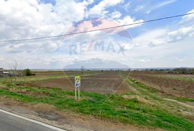 Teren Construcții intravilan de 7000 mp, în Oancea - 2