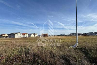 Teren de 600 mp, în Moșnița Nouă