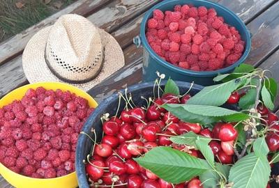 Spațiu comercial, în Ciprian Porumbescu - 1