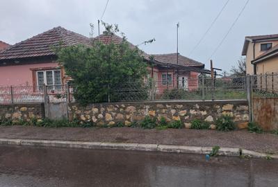 Teren Construcții intravilan de 1188 mp, în Palazu Mare