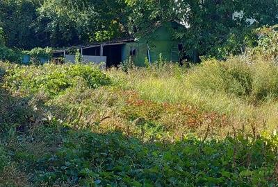 Casa de vinzare 1 Decembrie Ilfov - 3