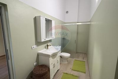 Casa / Vila cu 3 camere de inchiriat in zona Intim - 10