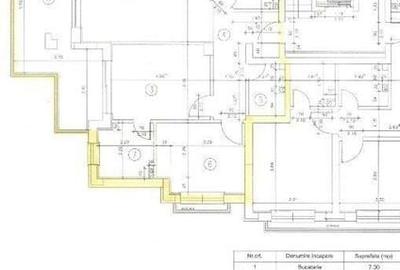 Vanzare 3 camere Herastrau PENTHOUSE - 3