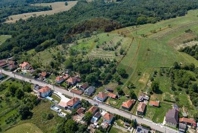 Casă de vanzare Certeju de Sus,jud Hunedoara - 19