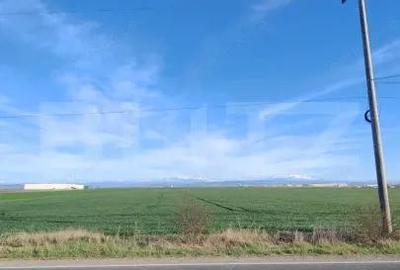 Teren de 59000 mp, în Ariceștii Rahtivani - 4