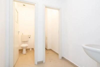 Spațiu comercial, de 250 mp, în Ferdinand - 3