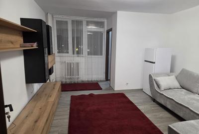 Garsonieră în Valea Rosie - 3