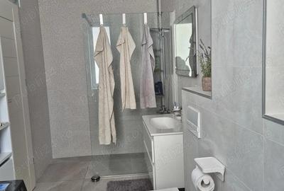 Apartament cu 2 camere decomandat în Nufărul - 3