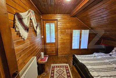 Casa de vacanta cu 4 camere,3300 mp teren,Valisoara - 13