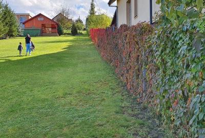 Teren cu AUTORIZATIE constructie casa plus CABANA LIVEZENI, 1824 MP - 5