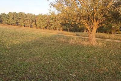 De vanzare teren extravilan langa Arcus - 6