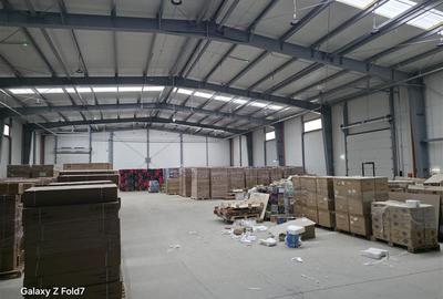 Spațiu industrial, de 1,300 mp, în Theodor Pallady - 13