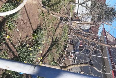 Casă cu 4 camere cu Teren 800 Mp în Corni - 1