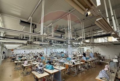 Spatiu industrial Braila - 10