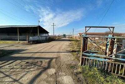 Vand teren intravilan,zona industriala,st.16,8 ha. + 8 ha.agricol,in Sanicolau Mare, la DN6,la sosea - 13