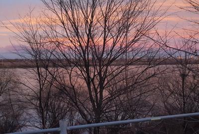 Oportunitate investitie Vila Rosu 473mp, 2500 mp teren, cu deschidere la Lac - 7