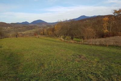 Spațiu comercial, în Ormindea - 3