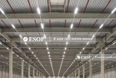 Spațiu comercial, de 3,000 mp, în Ariceștii Rahtivani - 1