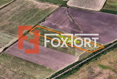 Teren extravilan 27.500 mp de vanzare in Timisoara-Zona Exterior Vest Mehala - 2