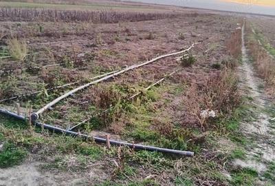 Teren de 10000 mp, în Dieneț - 2