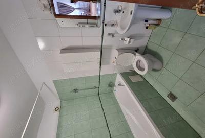 Apartament 2 camere Tineretului - 2