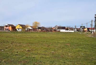 Teren de 6000 mp, în Centură - 1