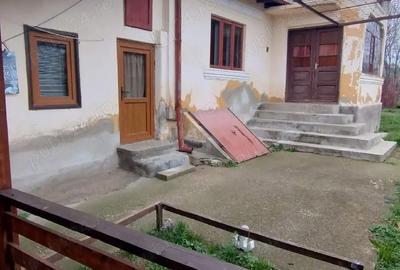 Casă cu 3 camere cu Teren 2900 Mp în Lunca - 8