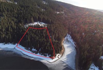 Teren de 10146 mp, în Giurcuța de Sus - 1