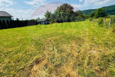 Teren 1,095mp Sighetu Marmatiei / Strada Faget - 5