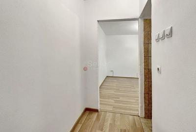 Recent Renovat Pozitionare Sudica - 14