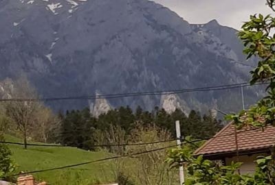 Casă cu 5 camere în Poiana Țapului - 2