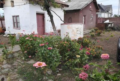 Casă cu 5 camere cu Teren 2800 Mp în Corabia - 3