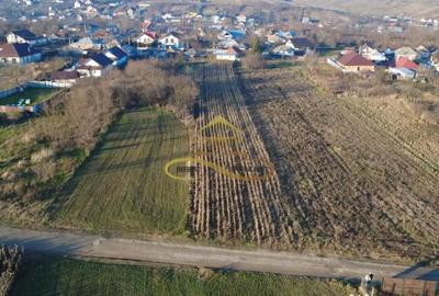 Teren de 2500 mp, în Măgura - 5