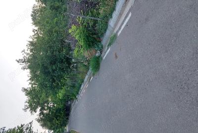 Vand casa cu teren - 3