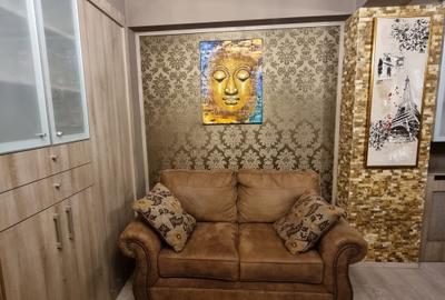 Apartament cu 2 camere decomandat, mobilat în Nerva Traian - 13